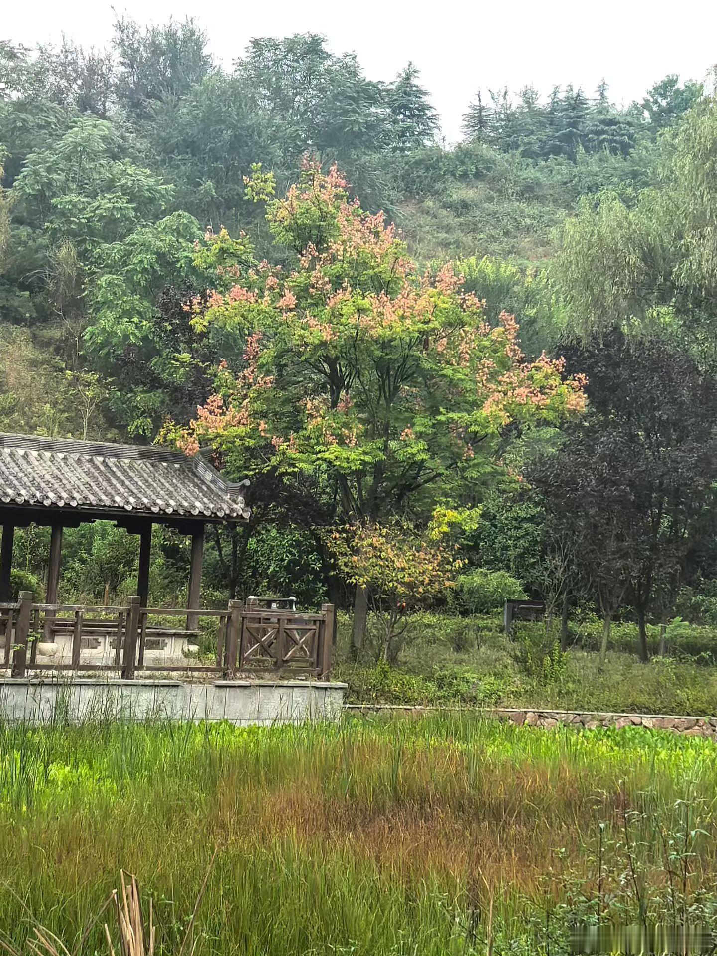 萤火乐园[超话] 相信美好，自然能遇见美好 ​​​