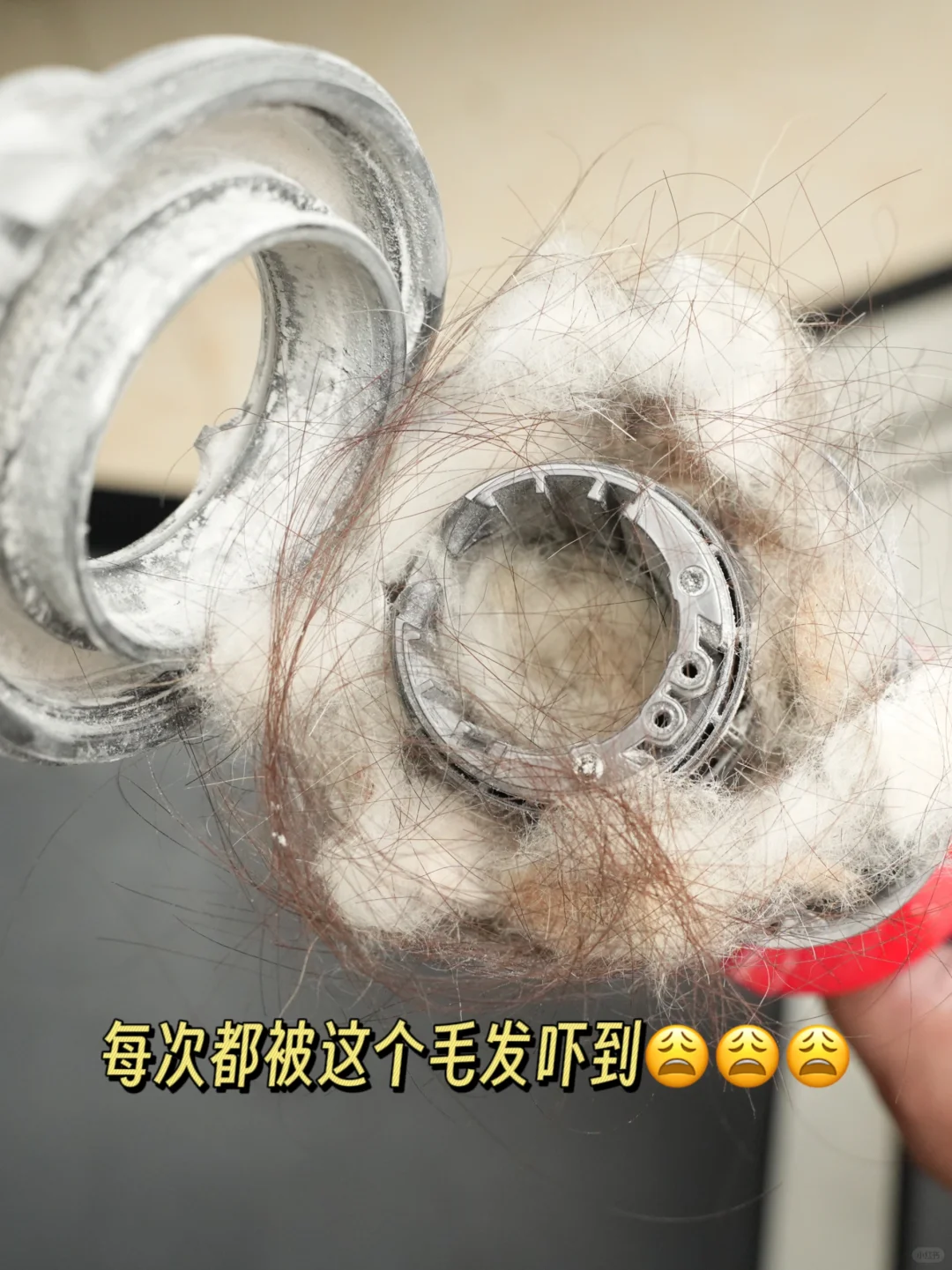 被打脸了 X森你让我很失望！
