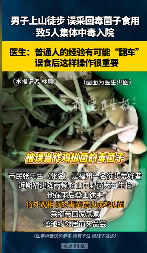 “悲剧还是发生了！”6月22日报道，福建福州，一男子雨后上山徒步，发现山里长了不