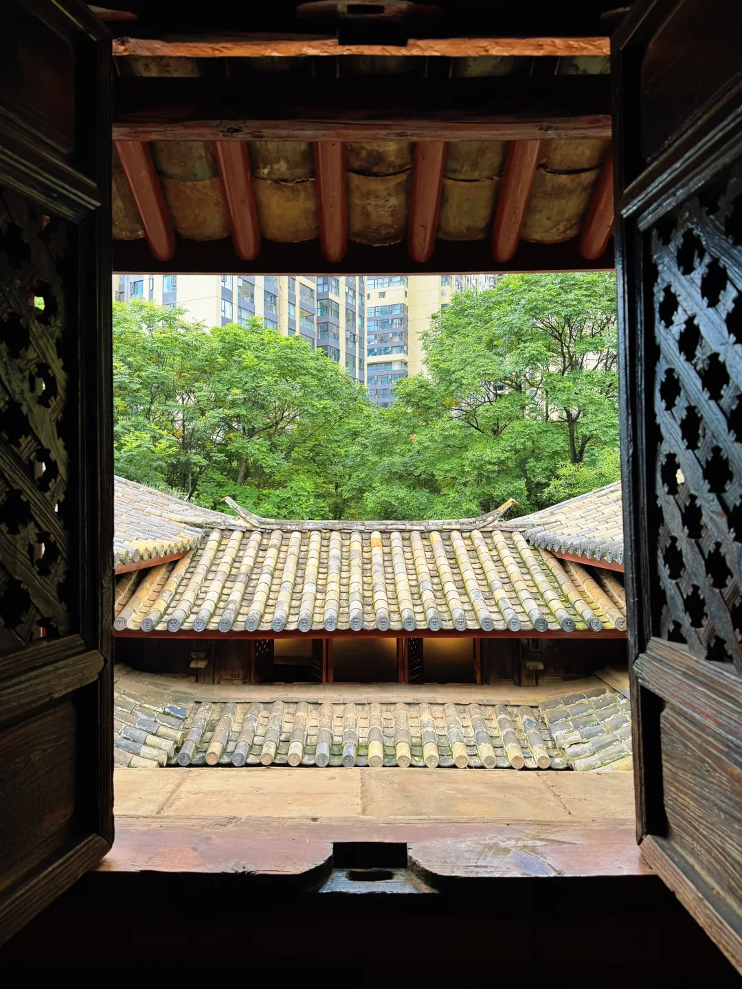 昆明散步笔记｜逛清冷大师旧居&吃25菌盖饭