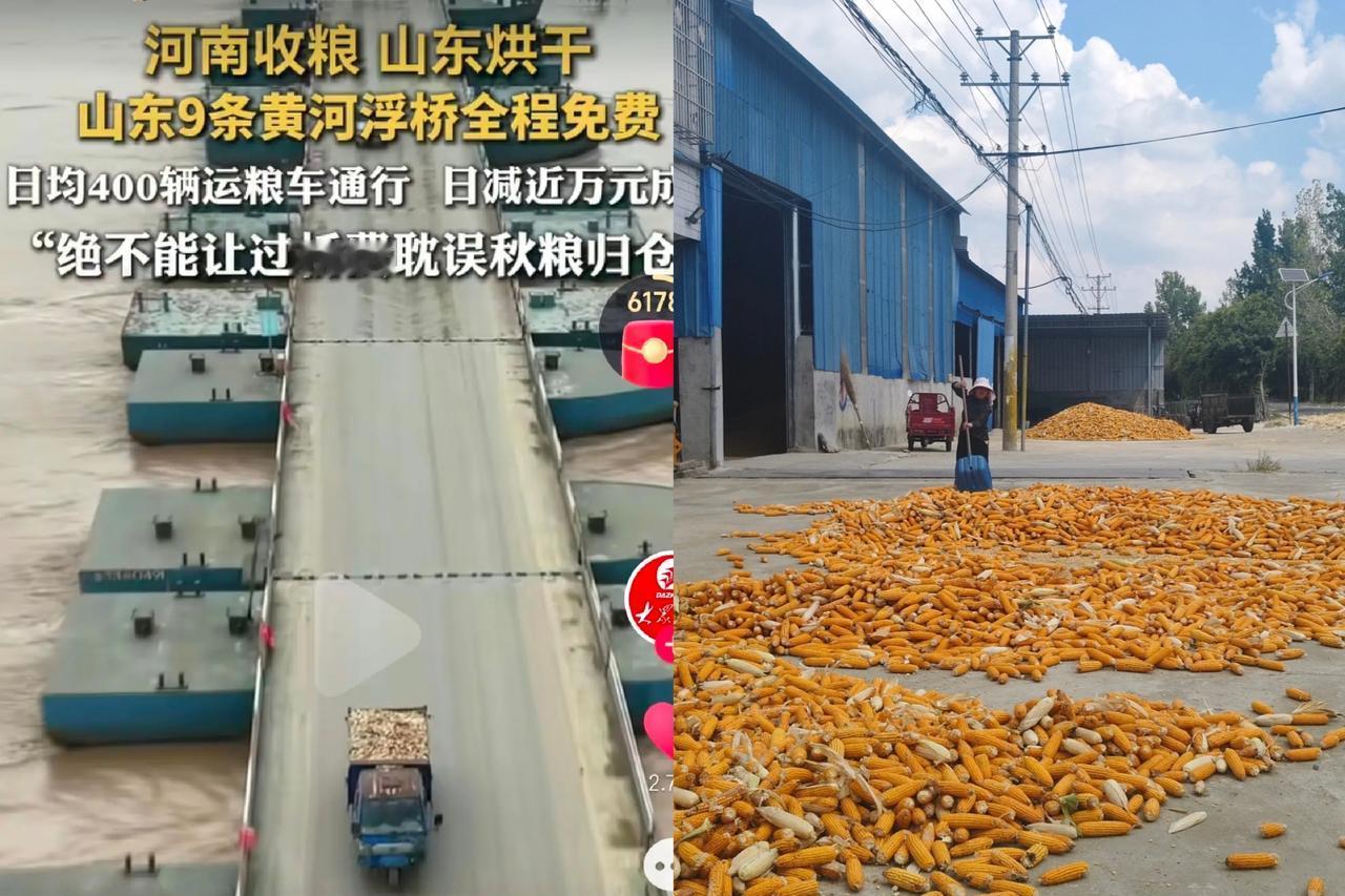 山东又责任心泛滥了，
不得不说山东是所有省份中最有责任担当的那个。
都说“一方有