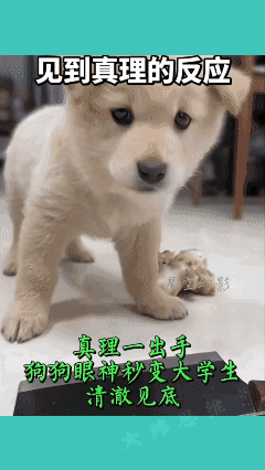 狠招震敌，
胜过无数花拳绣腿，
强过数句狠言巧语！