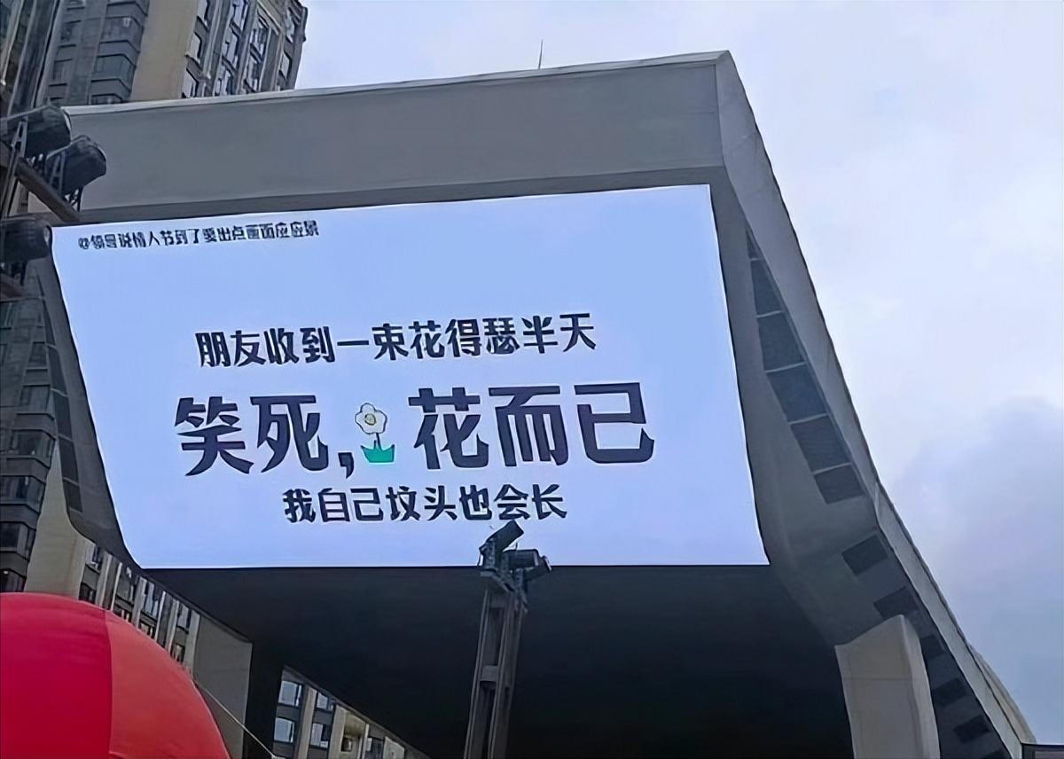 你坟头会长花？我不信