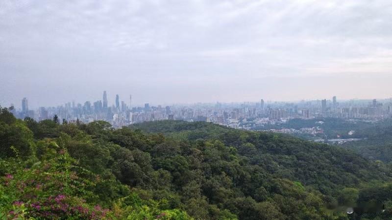 晒图笔记大赛继续晒图。