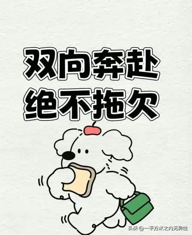 央视这两位解说员，竟让我起了杀心
巴西挪威一战，两种风格、明星闪耀，本是极有看点