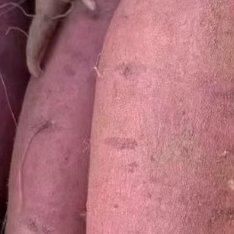 一、选地与整地要领土壤选择：红薯适应性强，但在土层深厚、疏松、排水良好的砂质壤土