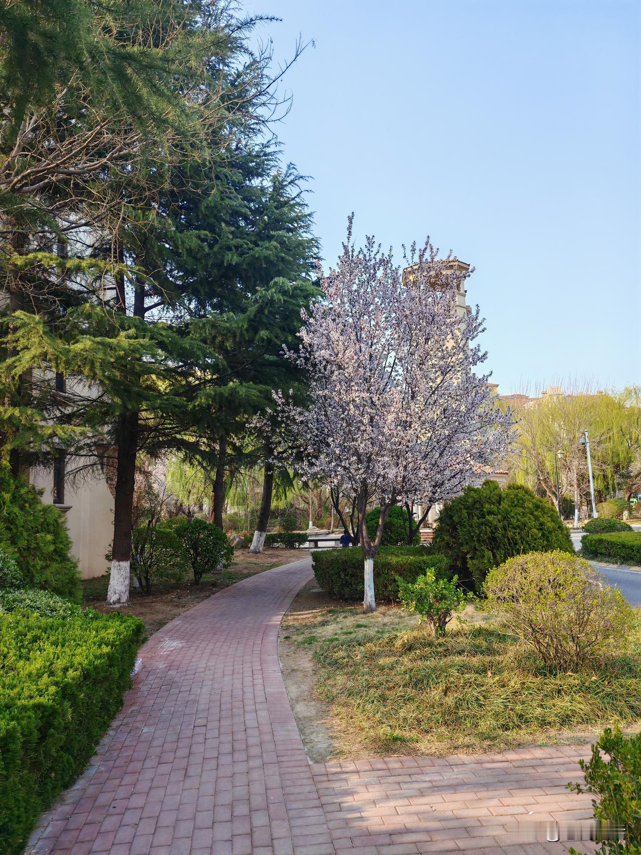 即墨方言里的生僻字：妗子，其实即墨人大多了舅母

妗子：妗，读音近，四声，简化字