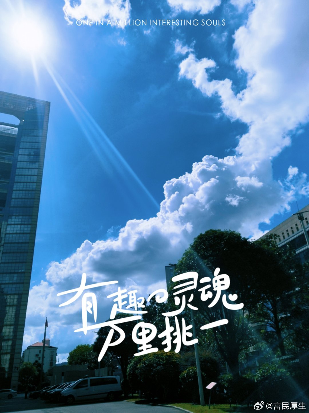 随手拍夏日叙事 