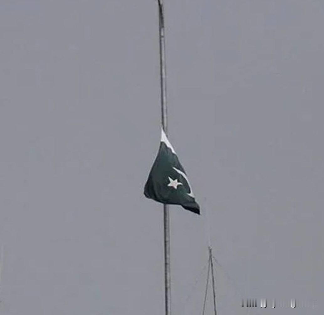 🇵🇰🇶🇦巴基斯坦宣布全国哀悼已故卡塔尔前埃米尔谢赫·哈马德·本·哈利法·