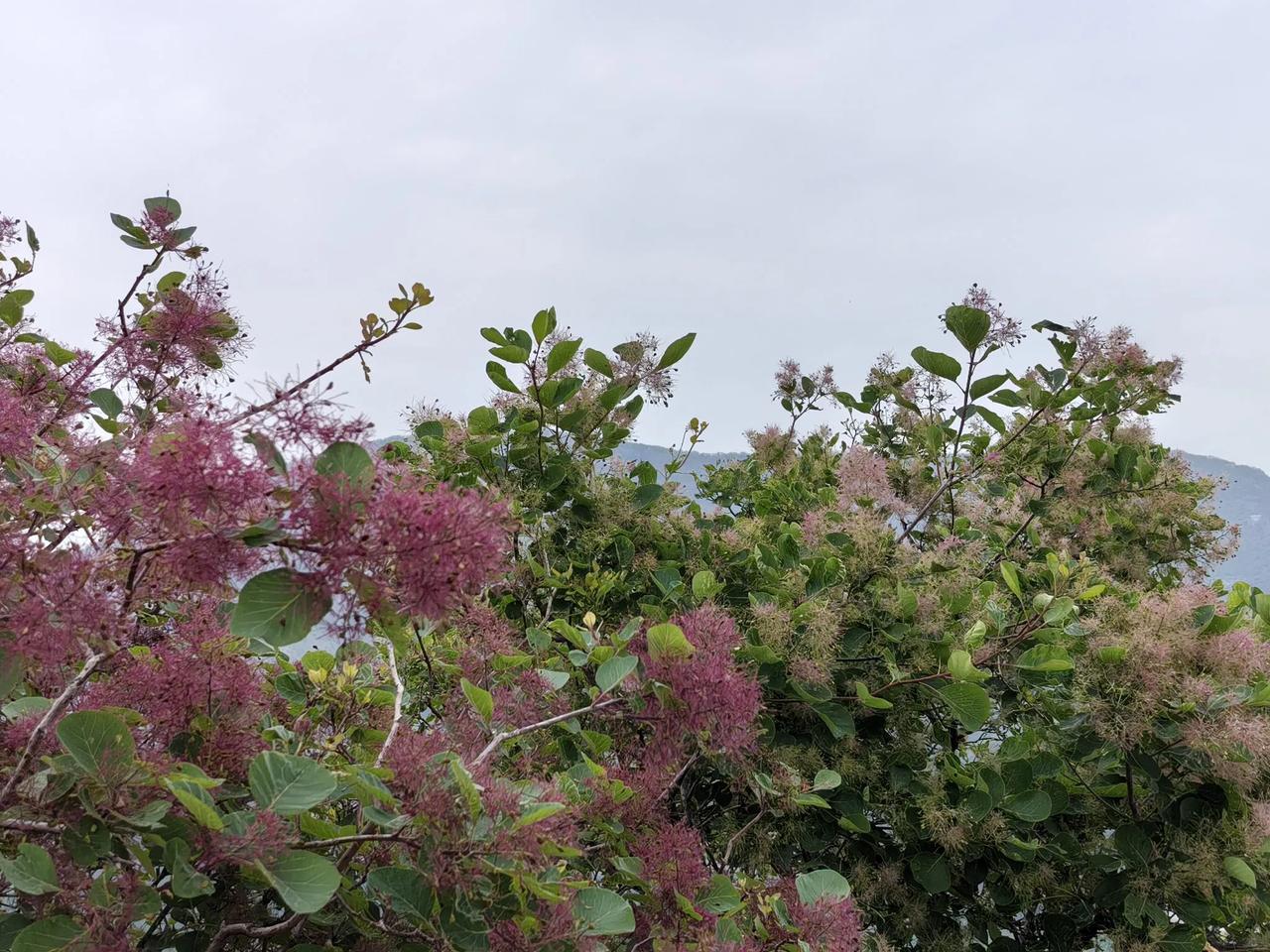 晒一张你相册里风景照这个还挺漂亮的。