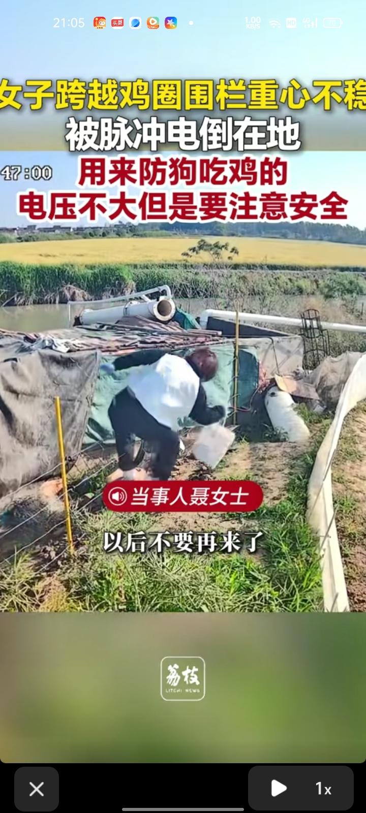 5月15日，泰州兴化市。女子跨越鸡圈围栏重心不稳，被脉冲电倒在地。

当事人聂女