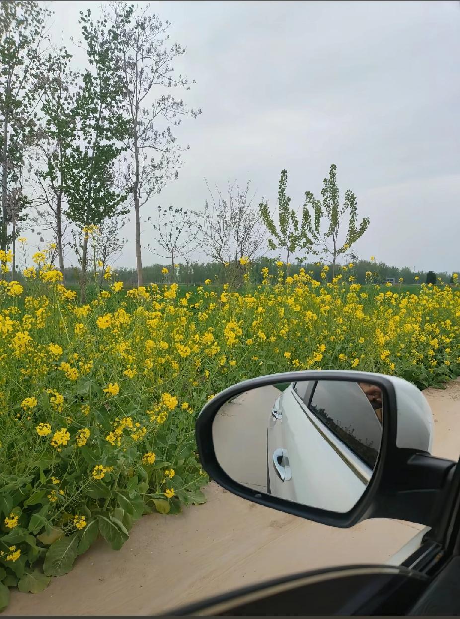 喜欢春天
带上情人出去走走
别难为自己
连诸葛先生
周公谨这样的人中龙凤
都感叹