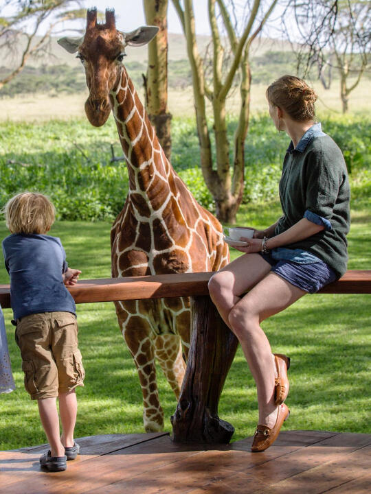 坦桑+肯尼亚轻奢游｜市面上少有的深度safari