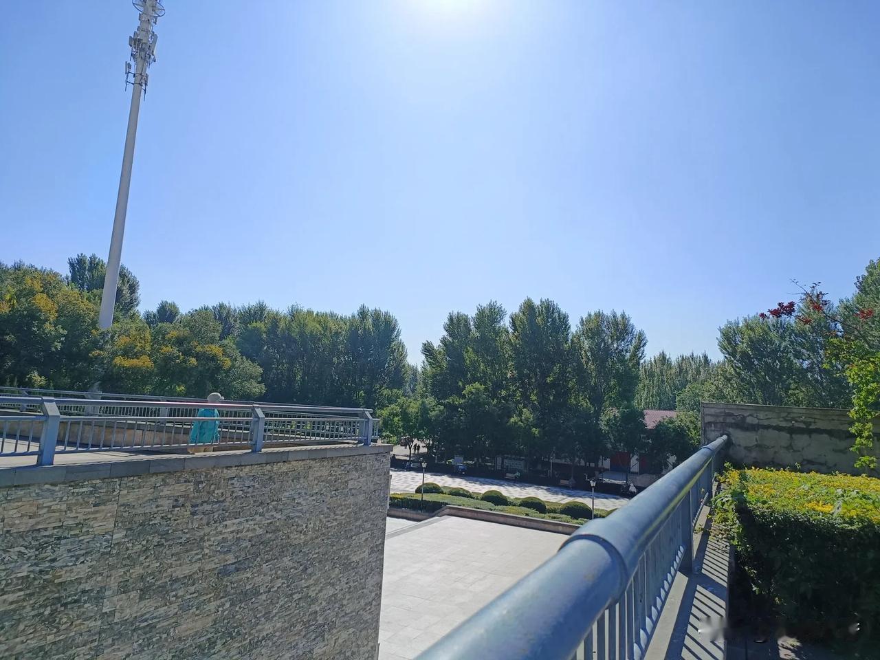 
这几天啥也没干，休息之中。