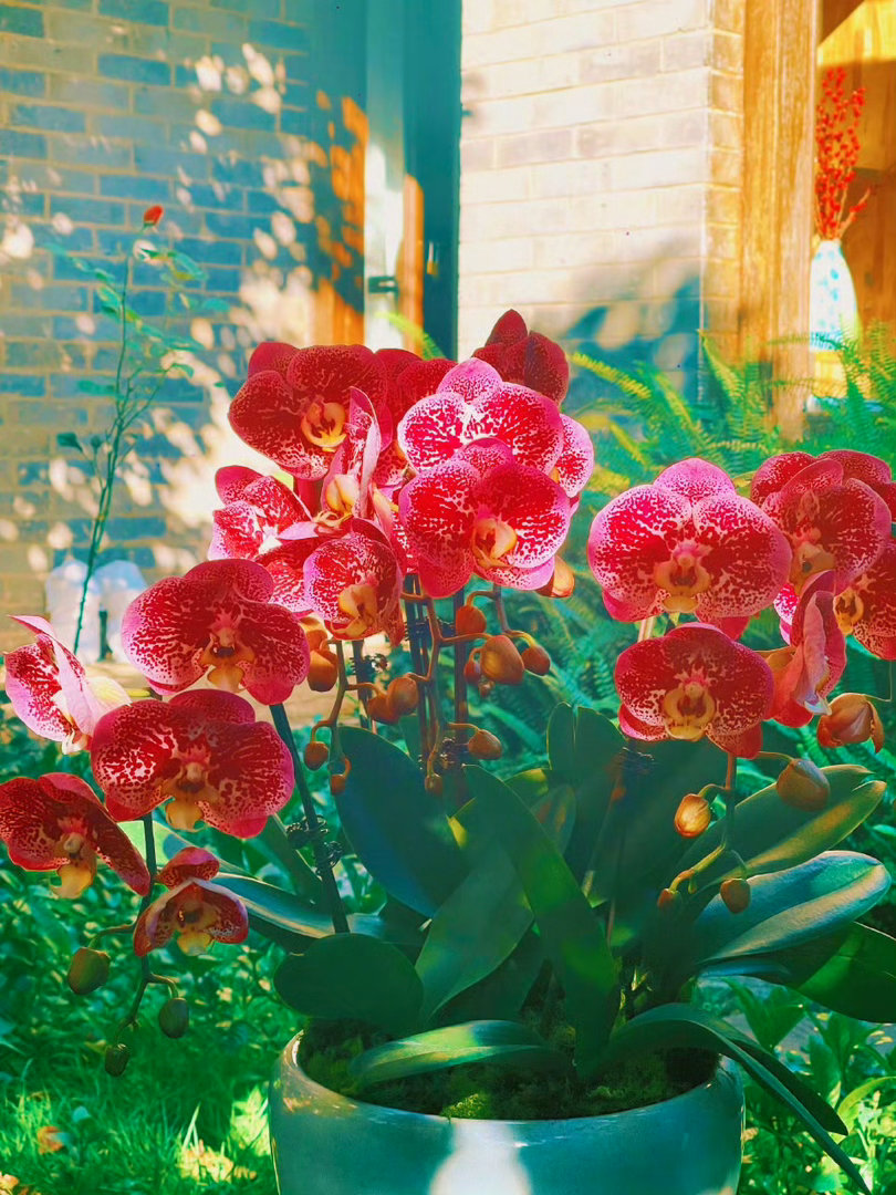 祛魅=平静=空性。平静里的热情=妙有、妙用=深情好的生命状态，源自于空性与深情在