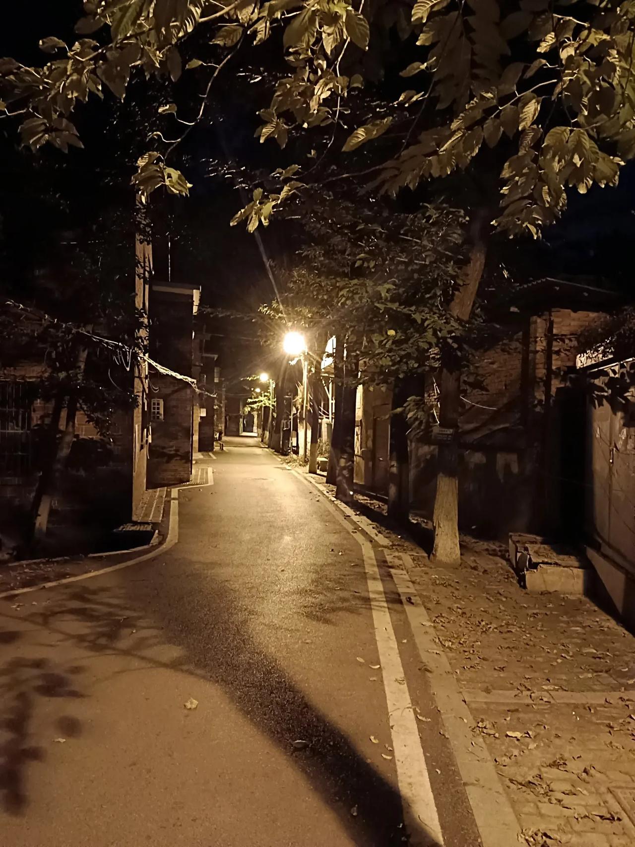 早起诗不成，山中野鸡鸣。
轸宿更古在，文夕大火生。
舟车多辛苦，今日赴归程。
​