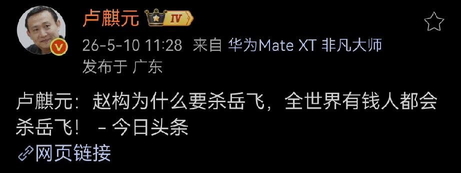 卢麒元：赵构为什么要杀岳飞，全世界有钱人都会杀岳飞！