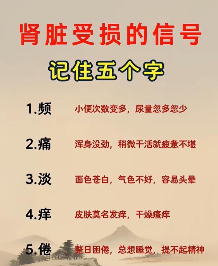 肾脏损伤早期症状常常比较隐匿，很多表现容易被当成普通疲劳忽略。我们可以记住 5 