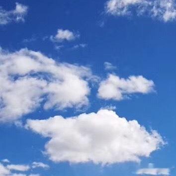 森林驿站 | 阳光信用 每日‬一善 所有的努力都不会完全白费，你付出多少时间和精