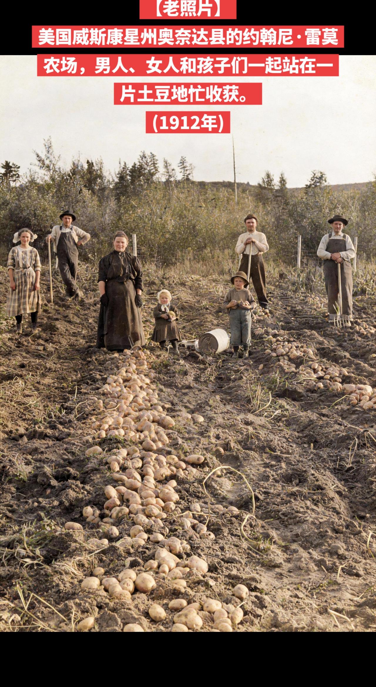 【老照片】我的图片 
美国威斯康星州奥奈达县的约翰尼·雷莫农场，男人、女人和孩子