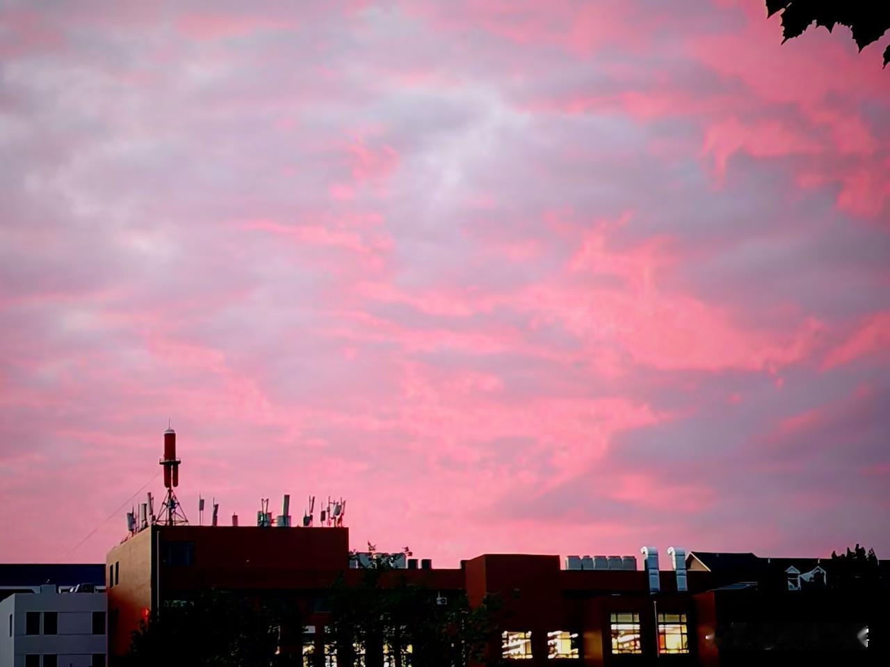 傍晚的天空，夕阳洒下金辉 ，为白云染上上了美丽的色彩，仰望天空，如诗画般的美丽，