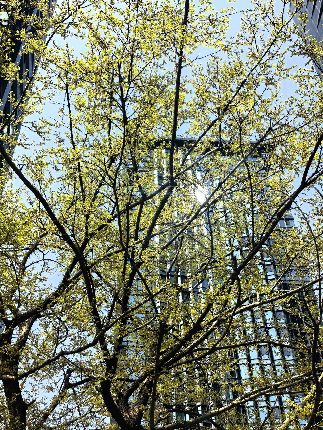 我的今日状态：😁轻松愉快
我这里的天气：☀️晴天