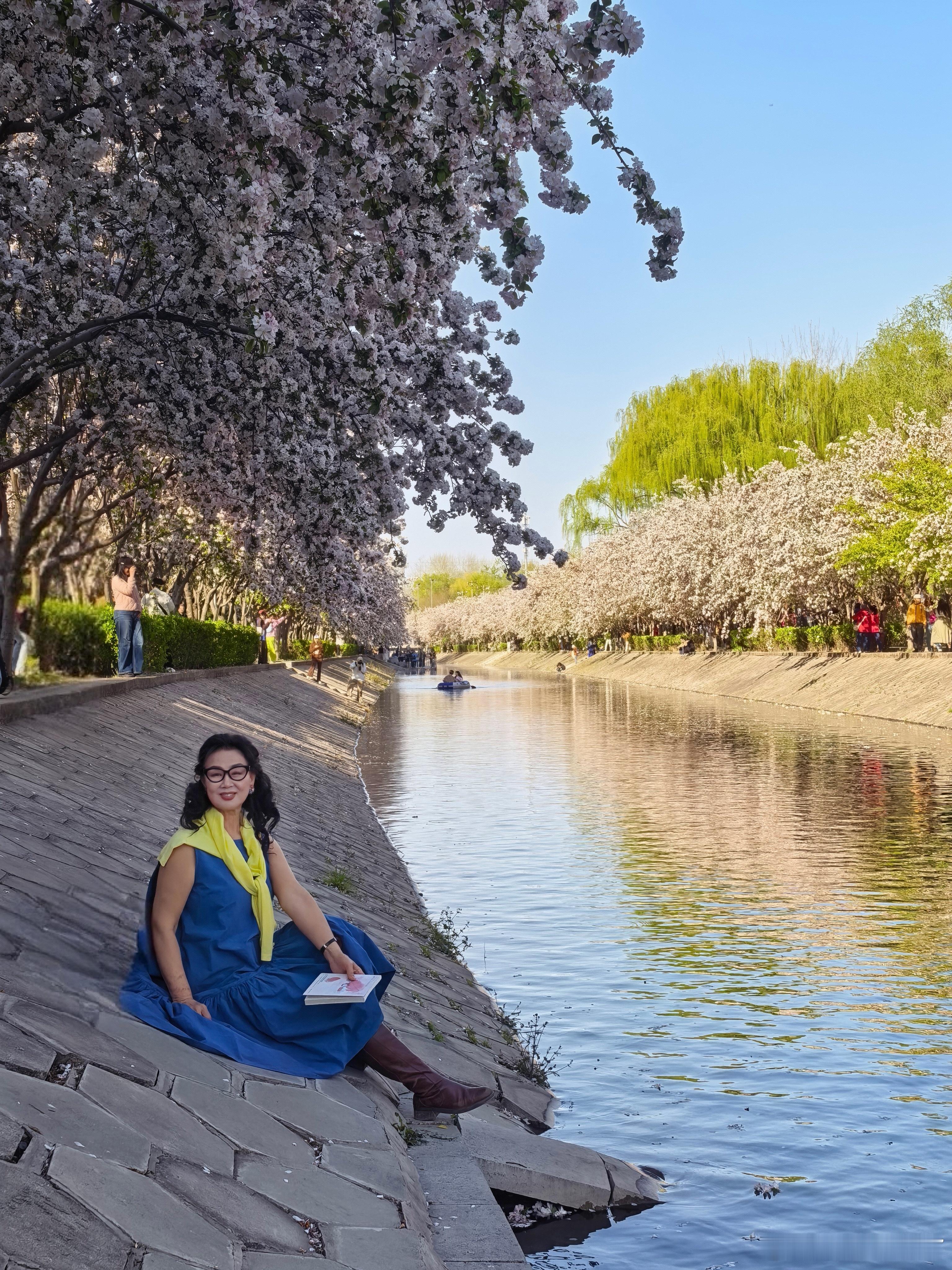 粉白深浅连天际，万株海棠竞芳华--望京海棠花溪掠影… 摄影