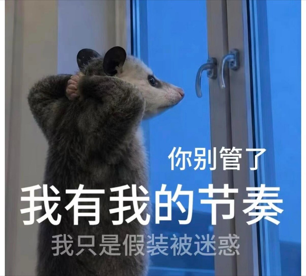 牛市跌起来，就是爹 