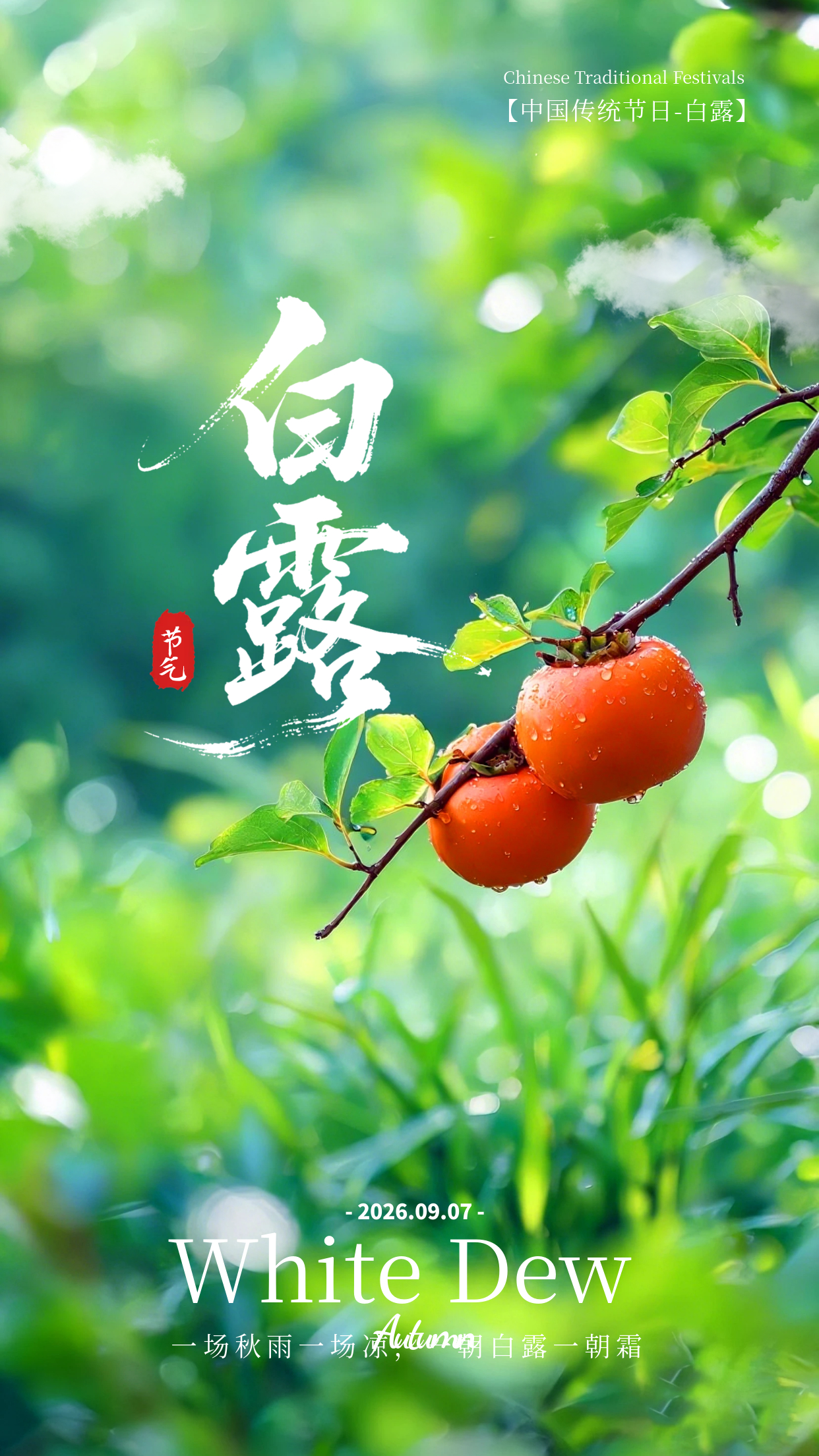 2026.9.7今日白露早安祝福图片海报壁纸拿图吱一声噢～ 白露白露节气