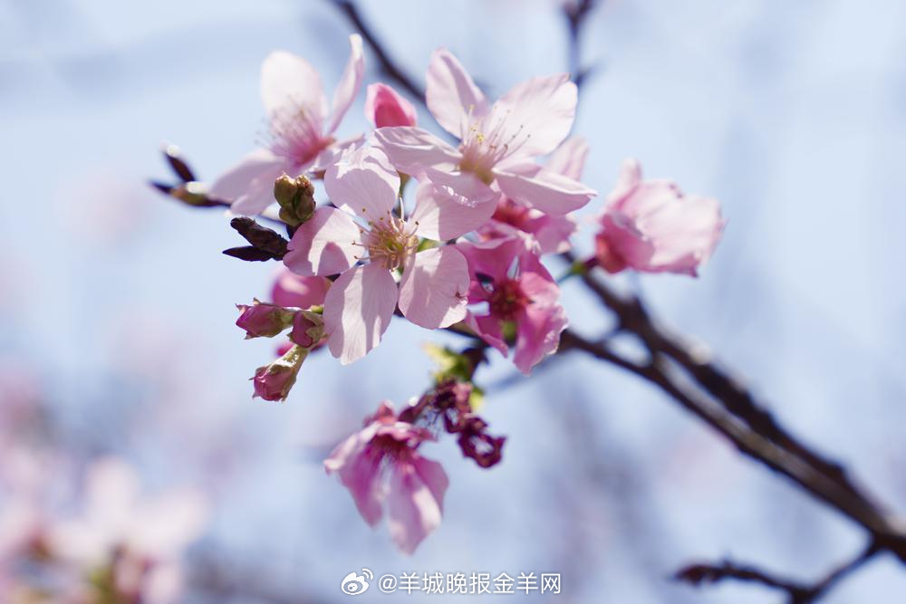 #晚安#这世上多数的成功，其实都是水滴石穿的累积。把大目标拆解为一个个小目标，不