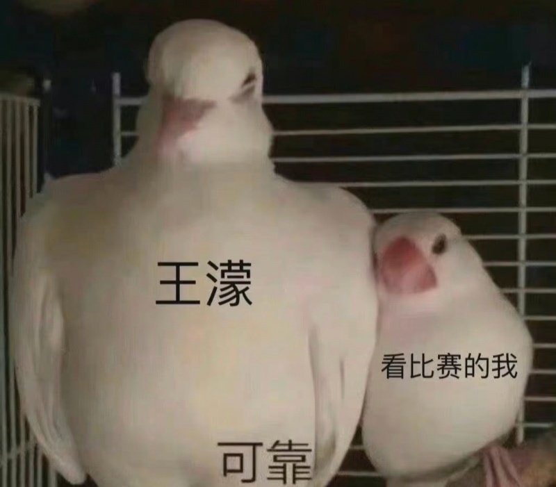 王濛的眼睛这回又要量什么从“我的眼睛就是尺”到米兰冬奥，濛主的尺子升级了！不再只