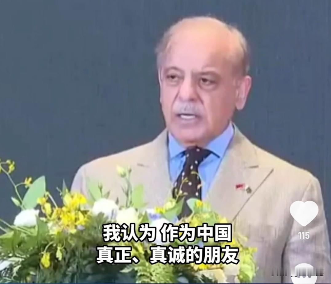 “我们会成为‘小中国’！”巴基斯坦总理访华期间的一句豪言，瞬间引爆了国际舆论场。