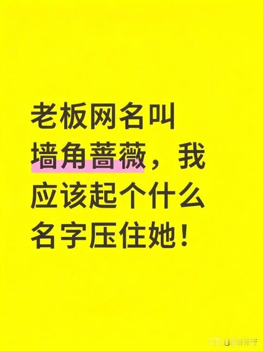 老板网名叫“墙角蔷薇”，我应该起个什么名字才能压她一头