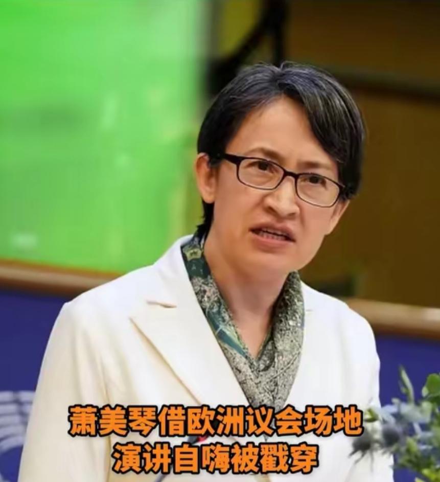 撤标退会！大陆精准反制下，萧美琴意大利蹭会炒作翻车了，被欧盟官方当场打脸
 
“