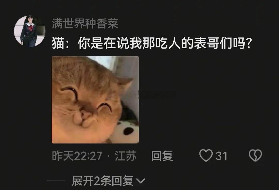 为什么猫的形状没有狗的多？