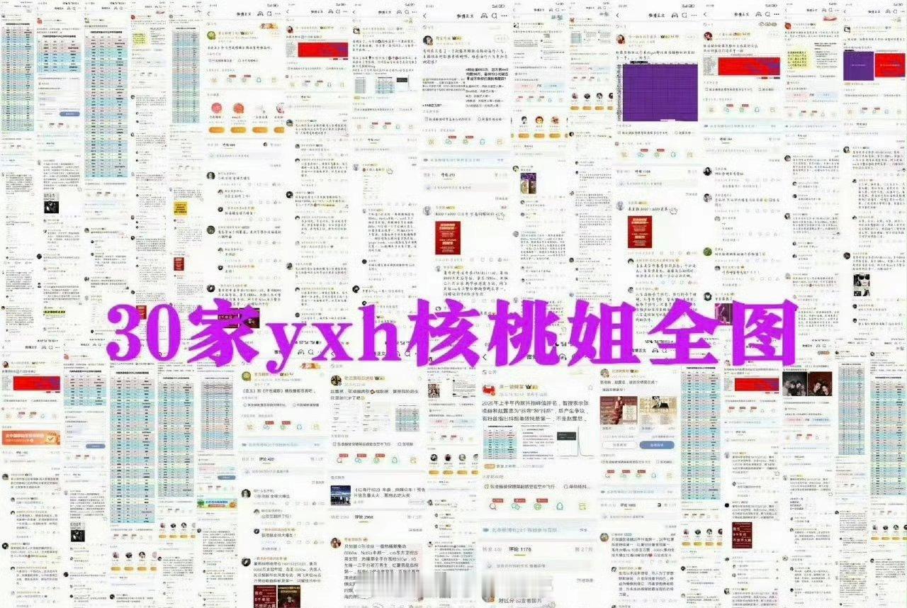 张凌赫、赵露思两家交流总结🈶 