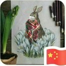 夏晖读读娱乐