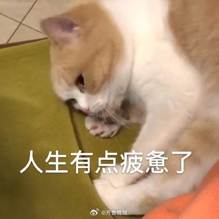 人与人是越计较就越没意思，开心就相处，不合意就停止。