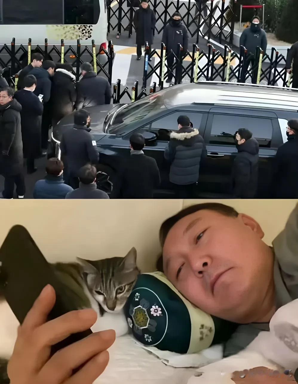 韩国总统尹锡悦搂着猫躺在床上，用手机看直播逮捕尹锡悦！