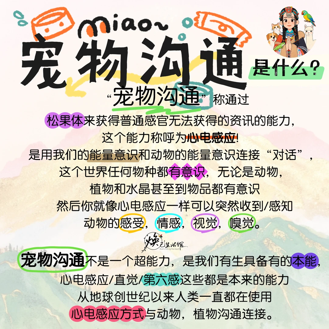 宠物沟通｜什么是宠物沟通？请看哦