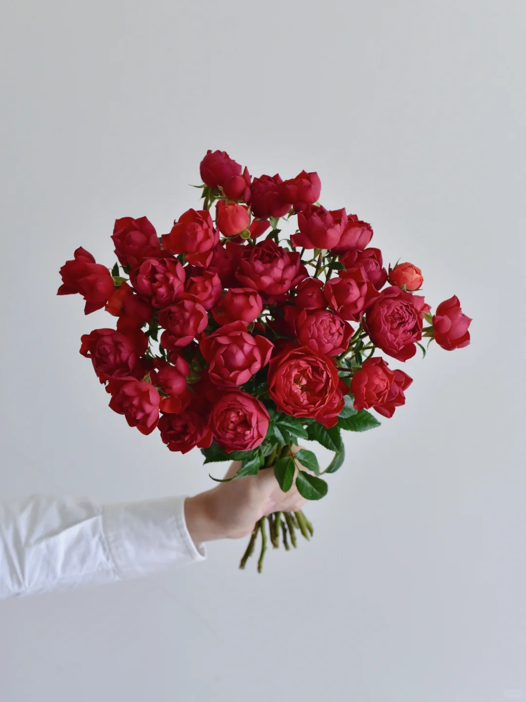 花栖玫瑰园·樱桃果汁