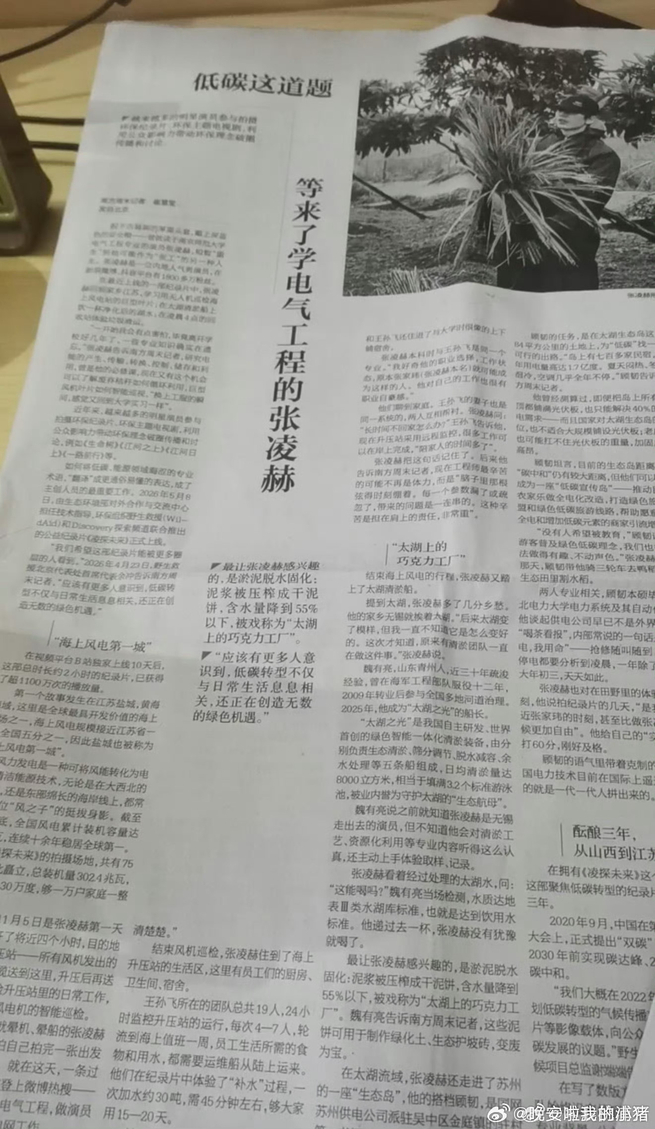 张凌赫凌探未来登报🥰🥰 