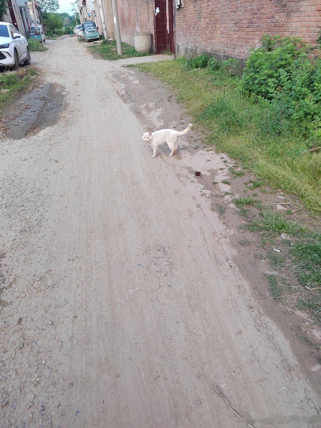 娃在我旁边订正作业一不小心坐滑了连人带凳子翻倒了好在他反应够快，屁股还没着地手按