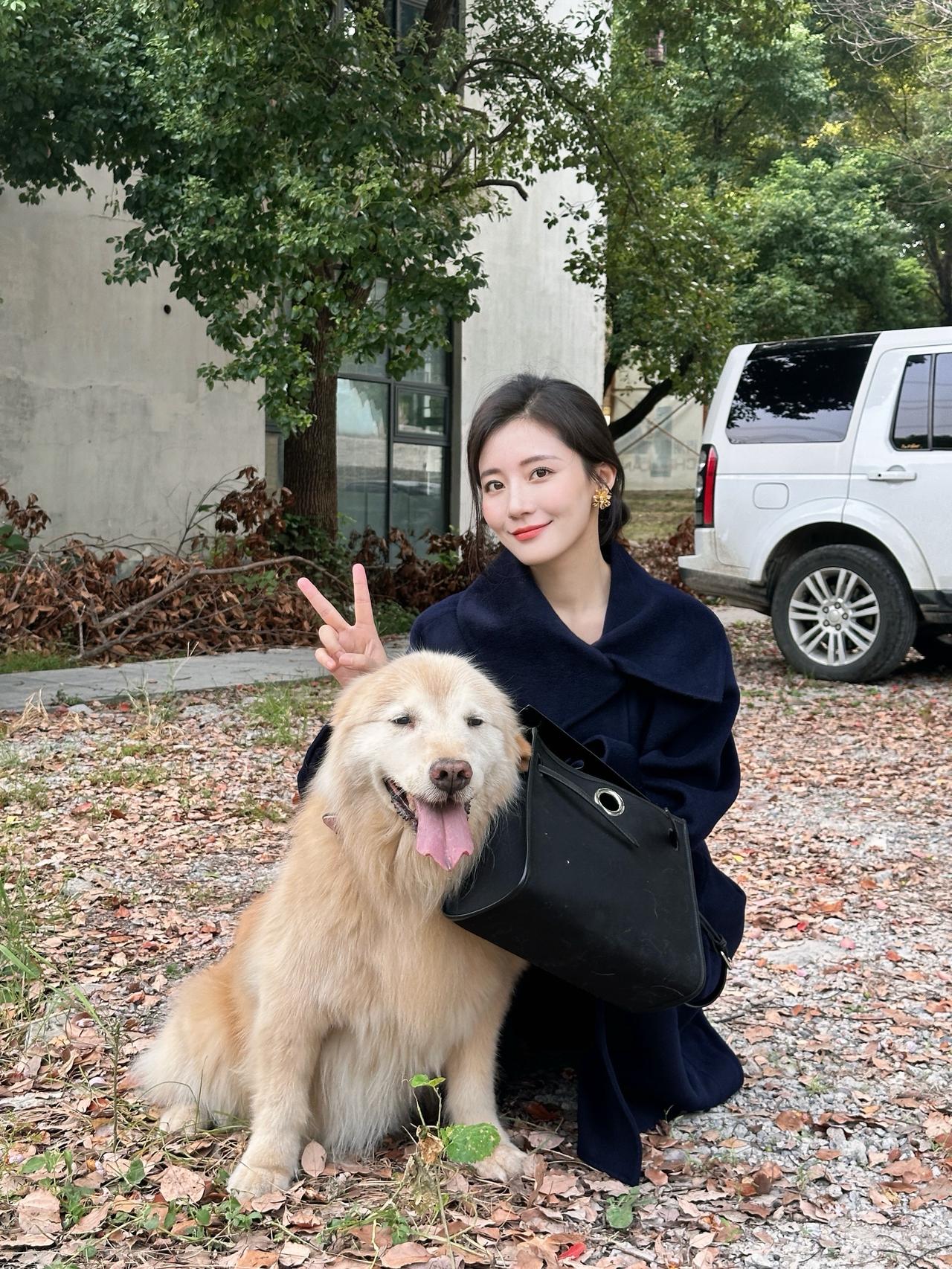 布布陪伴我的第十二年
希望时间慢一点