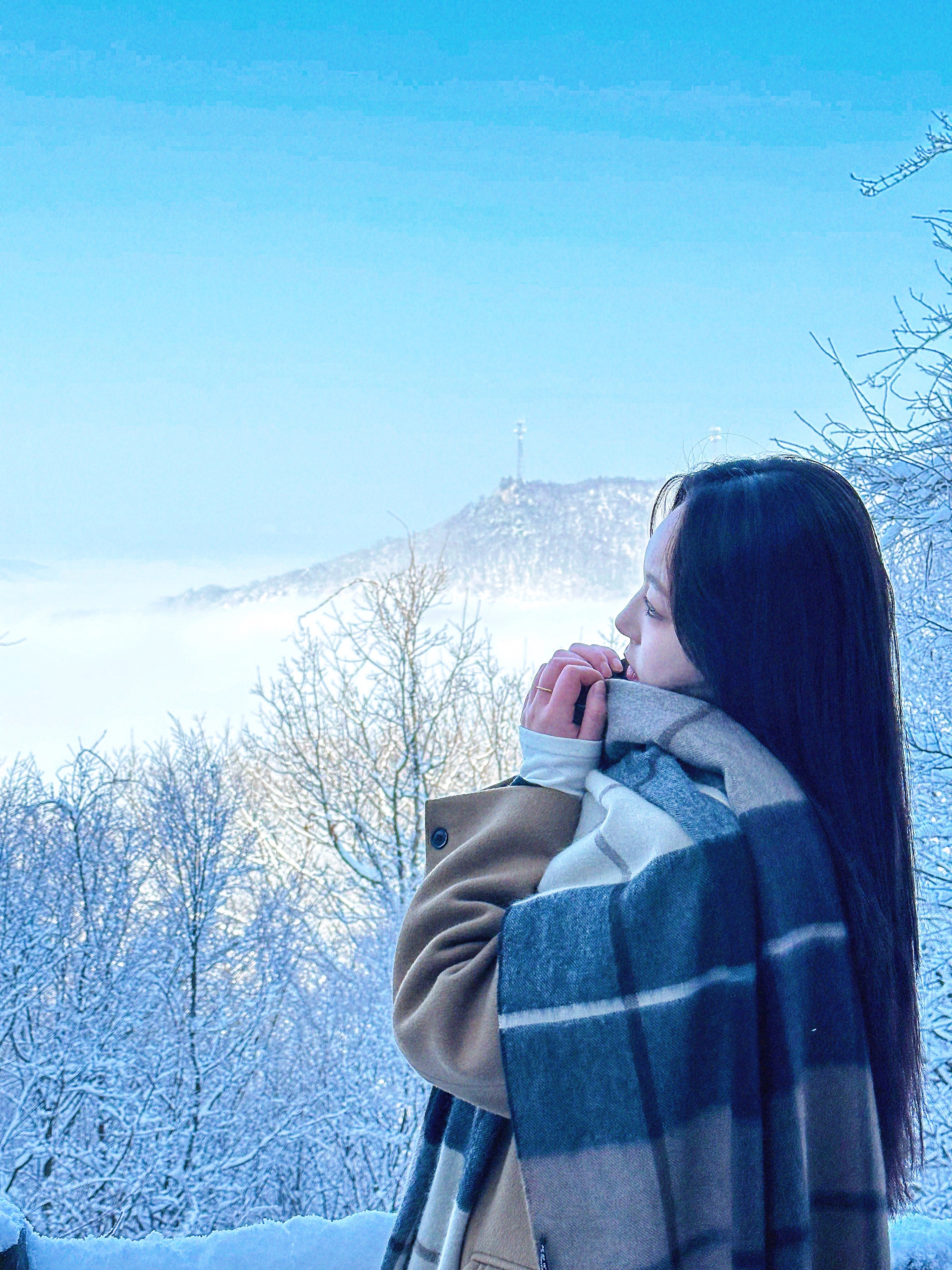 云台山的树都冻住了！茱萸峰漫山遍野出现雾凇奇观[雪花][雪花]门票半价！快快出发