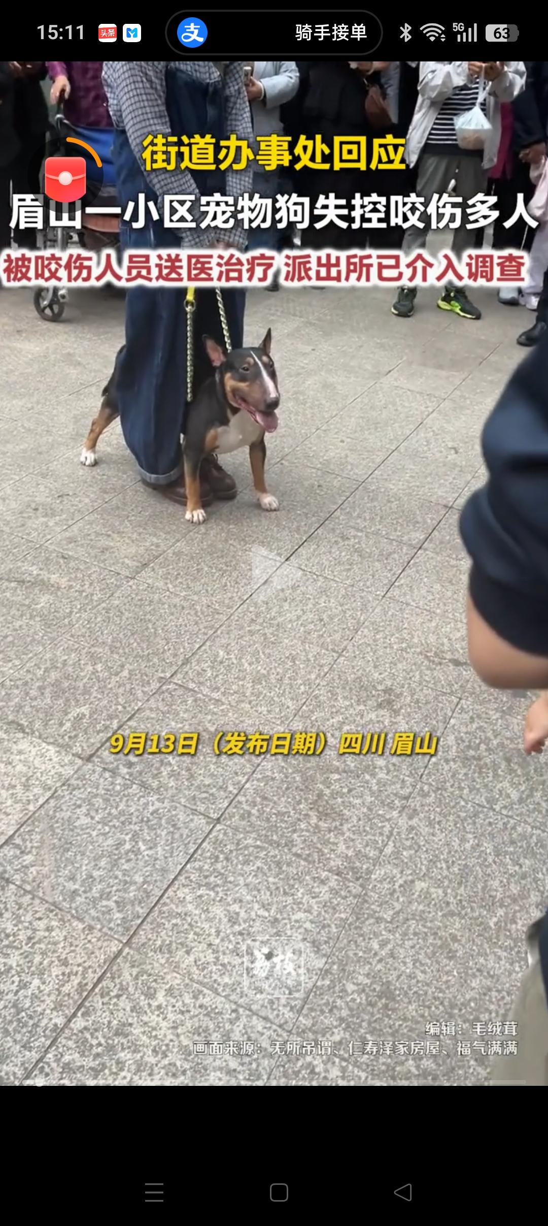 眉山一宠物狗咬伤多人，女狗主人被拘留！这远远不够，不仅应该人狗同责，还要罚的她心