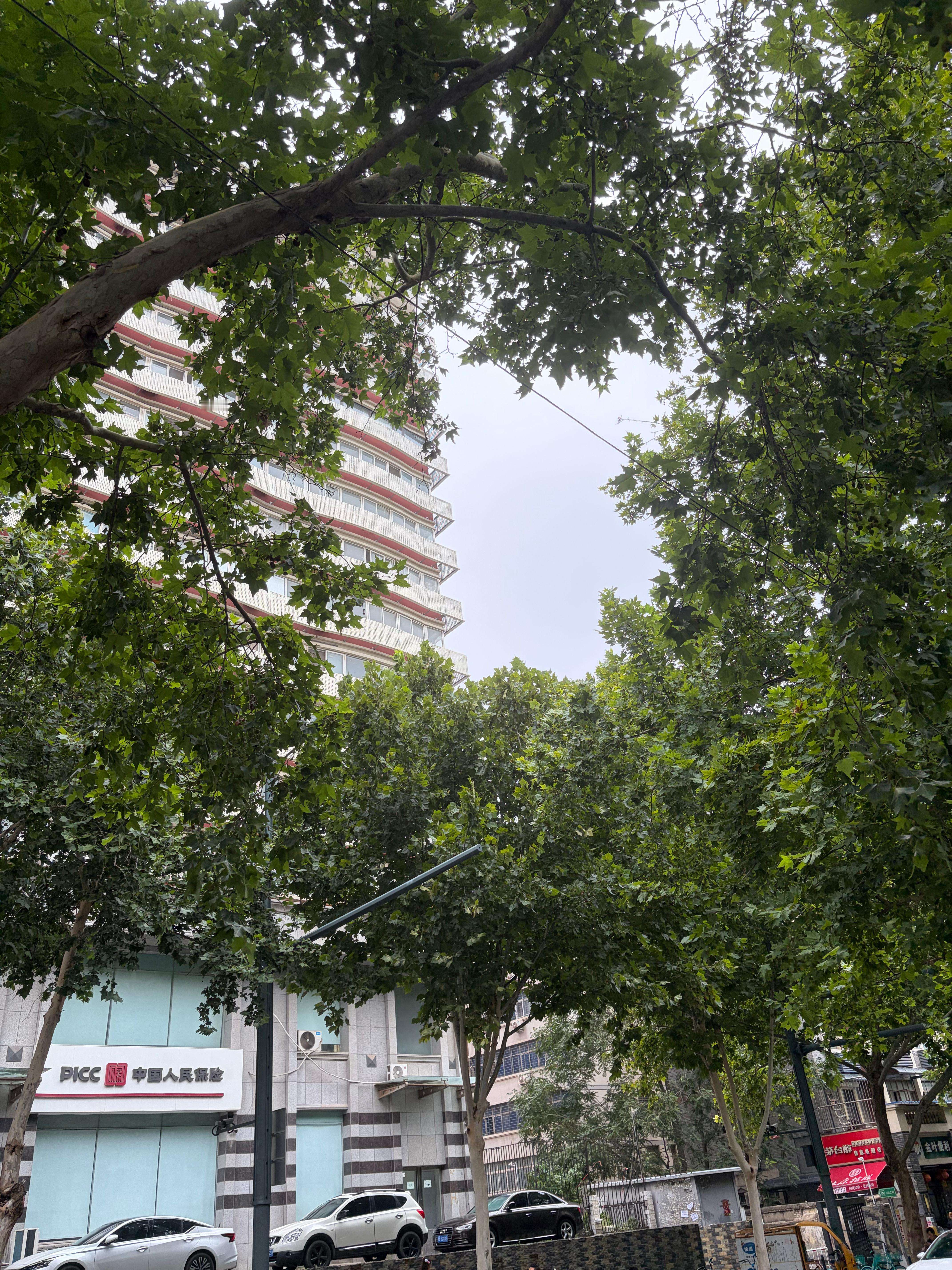 普通人有收入后爱弥补过去的自己 长大以后才发现，很多人真正开始养的第一个“小孩”