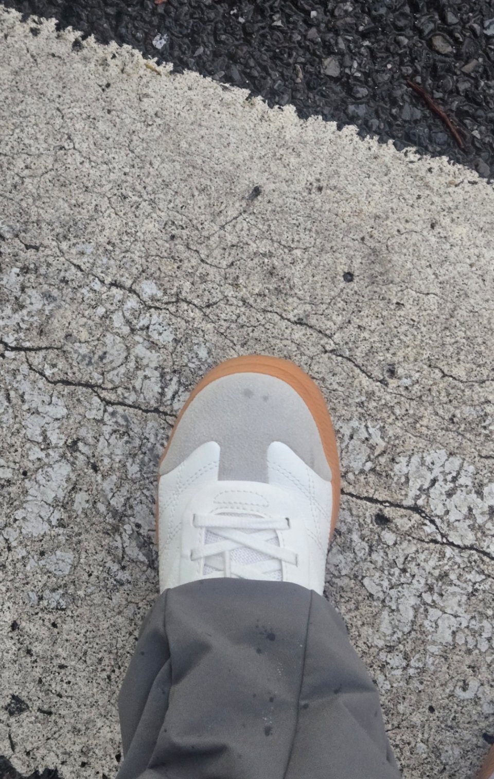 上海此时的大风得有二级台风的程度了吧，还好，赶在暴雨前到家，我的小白鞋还是白白净