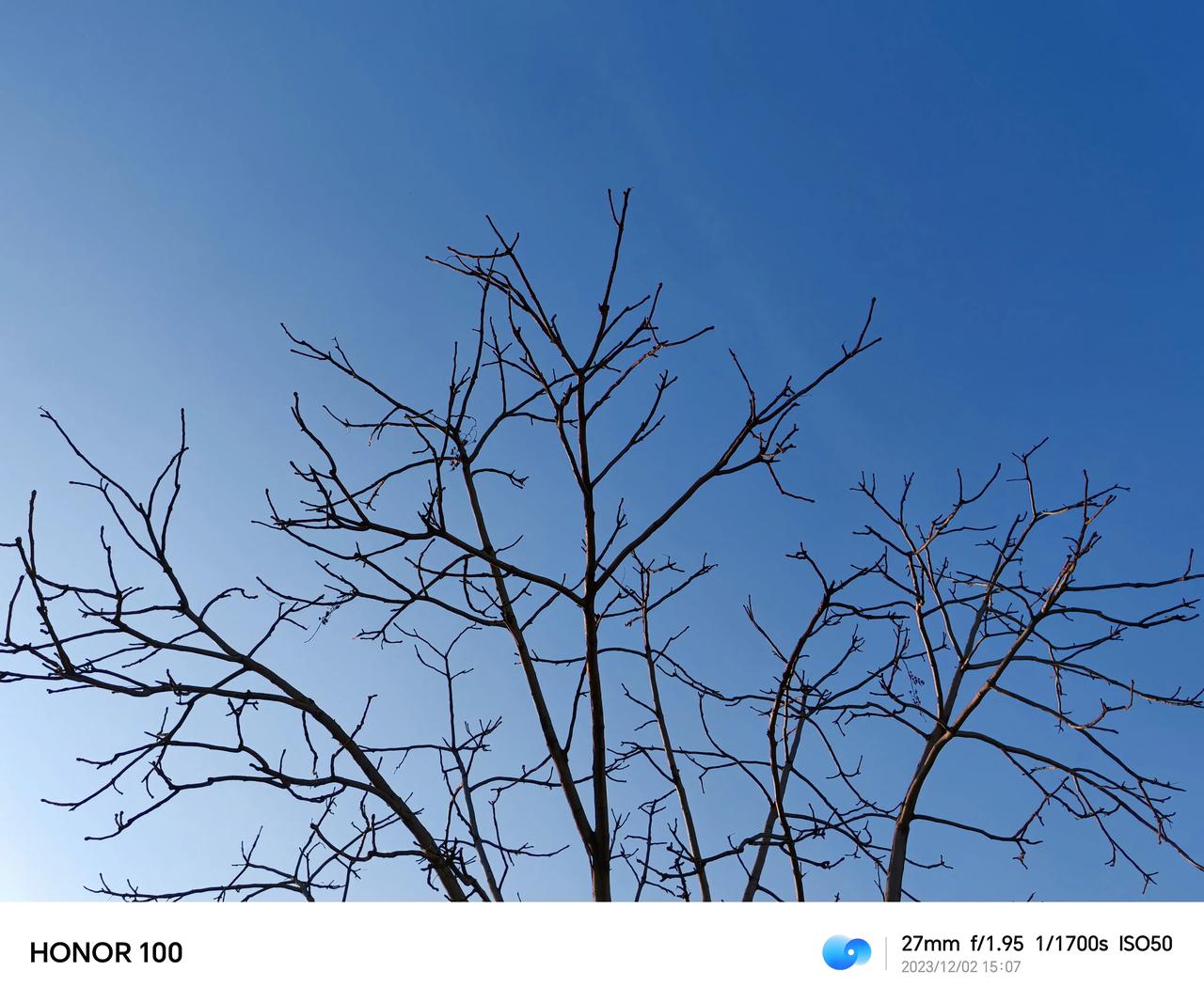不吹不黑，荣耀100这实拍表现如何？我觉得还可以吧，画面纯净度和表现力都还不错。
