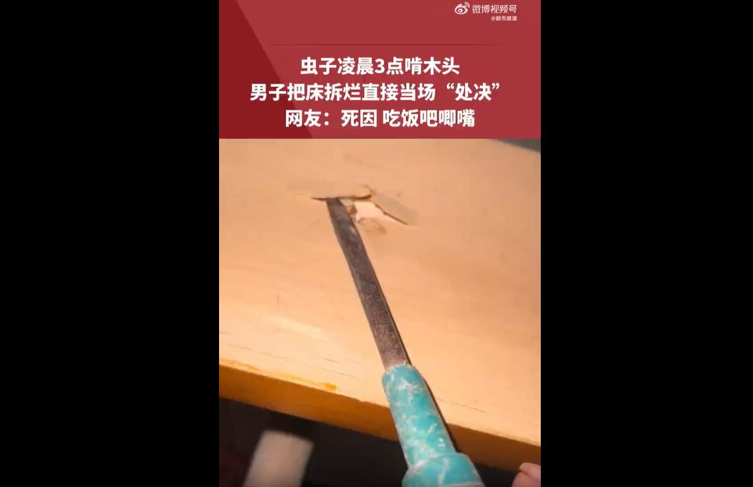 6月8日安徽，一名男子凌晨三点熟睡时，被床板里持续“嘎吱嘎吱”的啃木声吵醒。
不